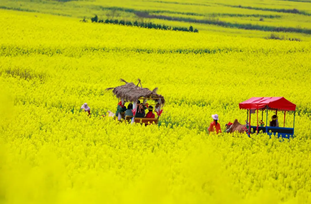 罗平旅游攻略_罗平旅游攻略_欢乐童世界