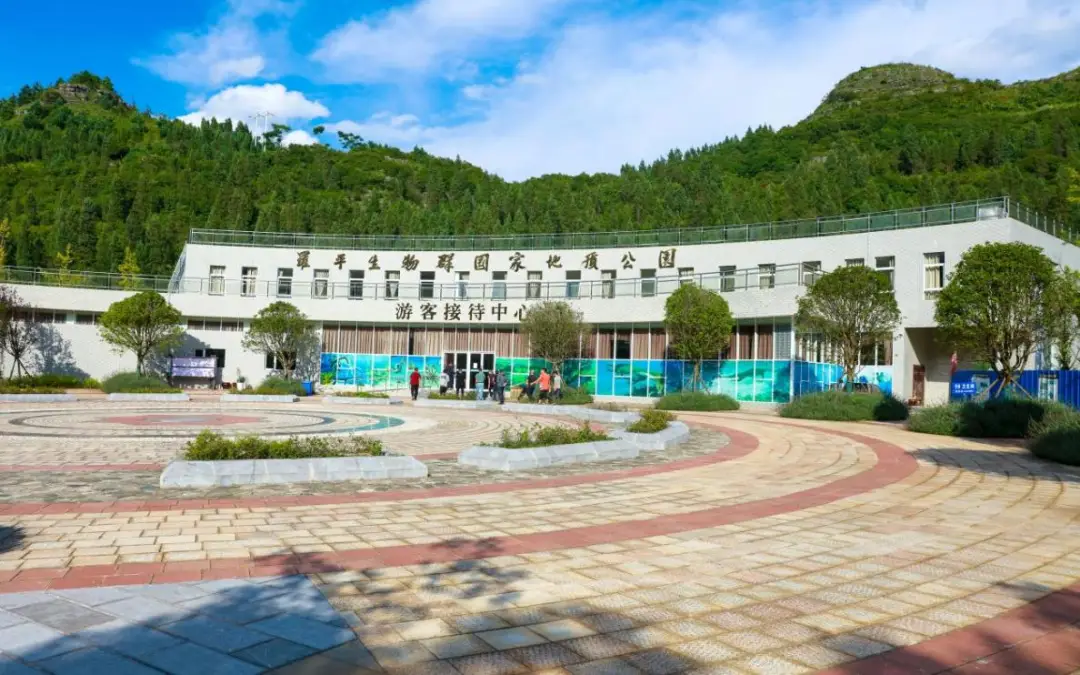 欢乐童世界_罗平旅游攻略_罗平旅游攻略