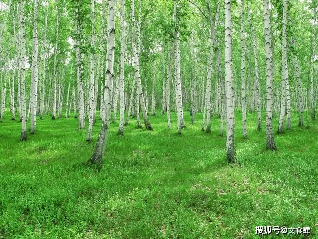 张家口滑雪旅游攻略_张家口旅游攻略_大境门长城景区