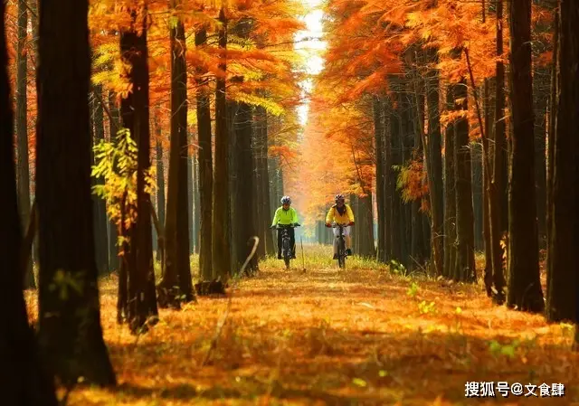 大境门长城景区_张家口旅游攻略_张家口滑雪旅游攻略
