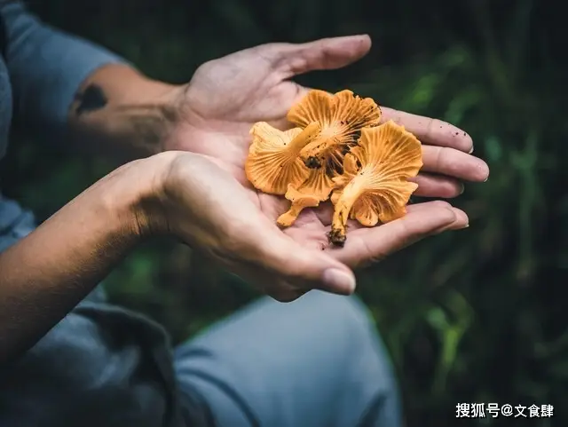 张家口滑雪旅游攻略_张家口旅游攻略_大境门长城景区