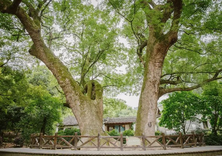 慈溪古县城旅游攻略_浙江慈溪旅游攻略_浙江水乡古城推荐