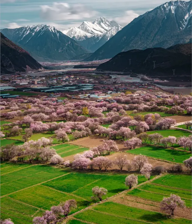 波密桃花沟各村庄开花时间_波密桃花沟最佳赏花期_波密旅游攻略