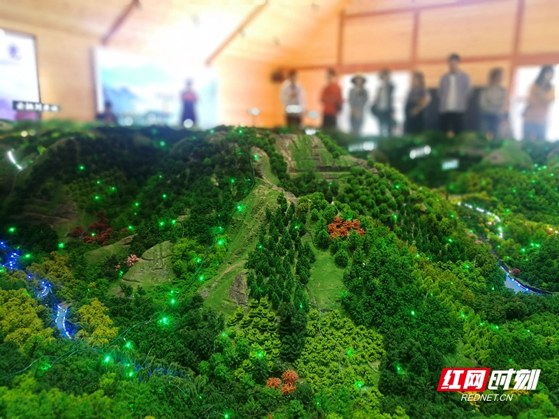 第十四届全国网络媒体山西行_王莽岭挂壁公路_王莽岭旅游攻略