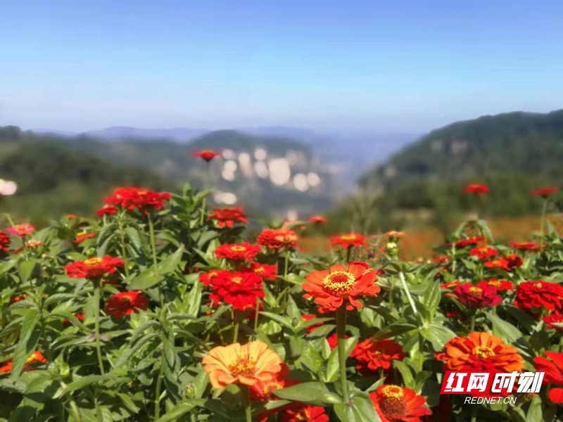 王莽岭旅游攻略_第十四届全国网络媒体山西行_王莽岭挂壁公路