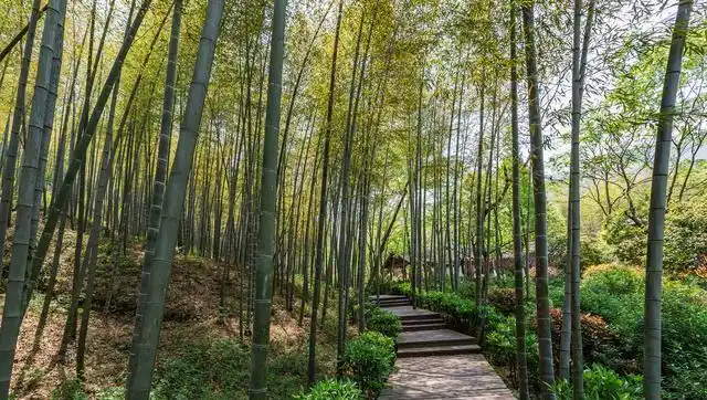 常州周边自驾游_溧阳天目湖一日游_天目湖自驾游旅游攻略