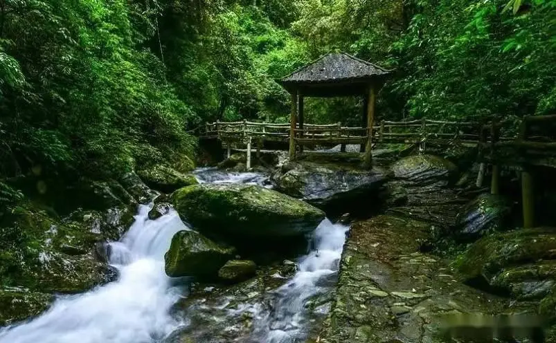 梵净山旅游攻略_铜仁旅游攻略_铜仁十大必玩景点