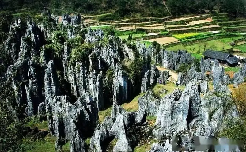 铜仁旅游攻略_铜仁十大必玩景点_梵净山旅游攻略