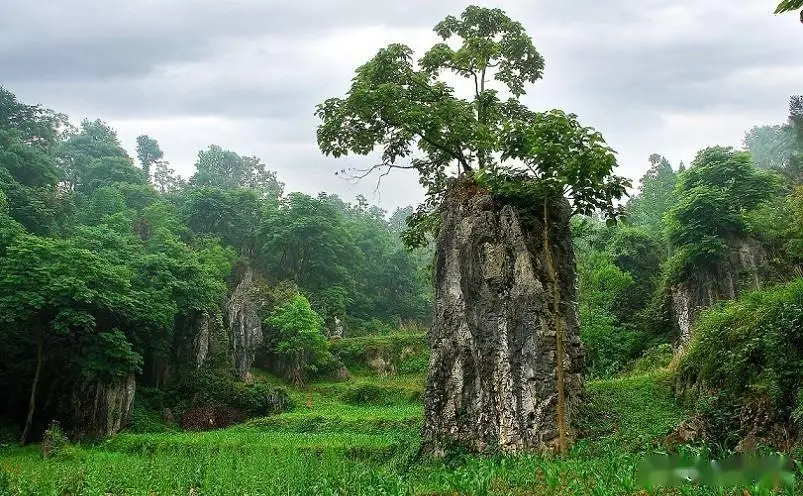 铜仁旅游攻略_梵净山旅游攻略_铜仁十大必玩景点