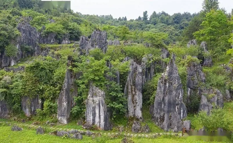 梵净山旅游攻略_铜仁旅游攻略_铜仁十大必玩景点