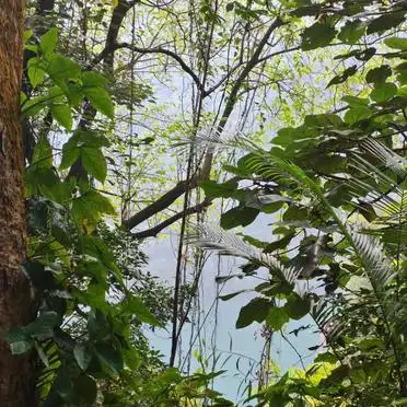 肇庆东站到鼎湖山交通指南_广州肇庆旅游攻略_广州至肇庆鼎湖山一日游攻略