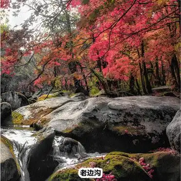 沈阳本溪2天1夜深度游攻略_沈阳到本溪旅游攻略_关门山森林公园本溪旅游路线