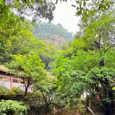 广州肇庆旅游攻略_广州到肇庆鼎湖山攻略_肇庆鼎湖山说走就走旅行指南