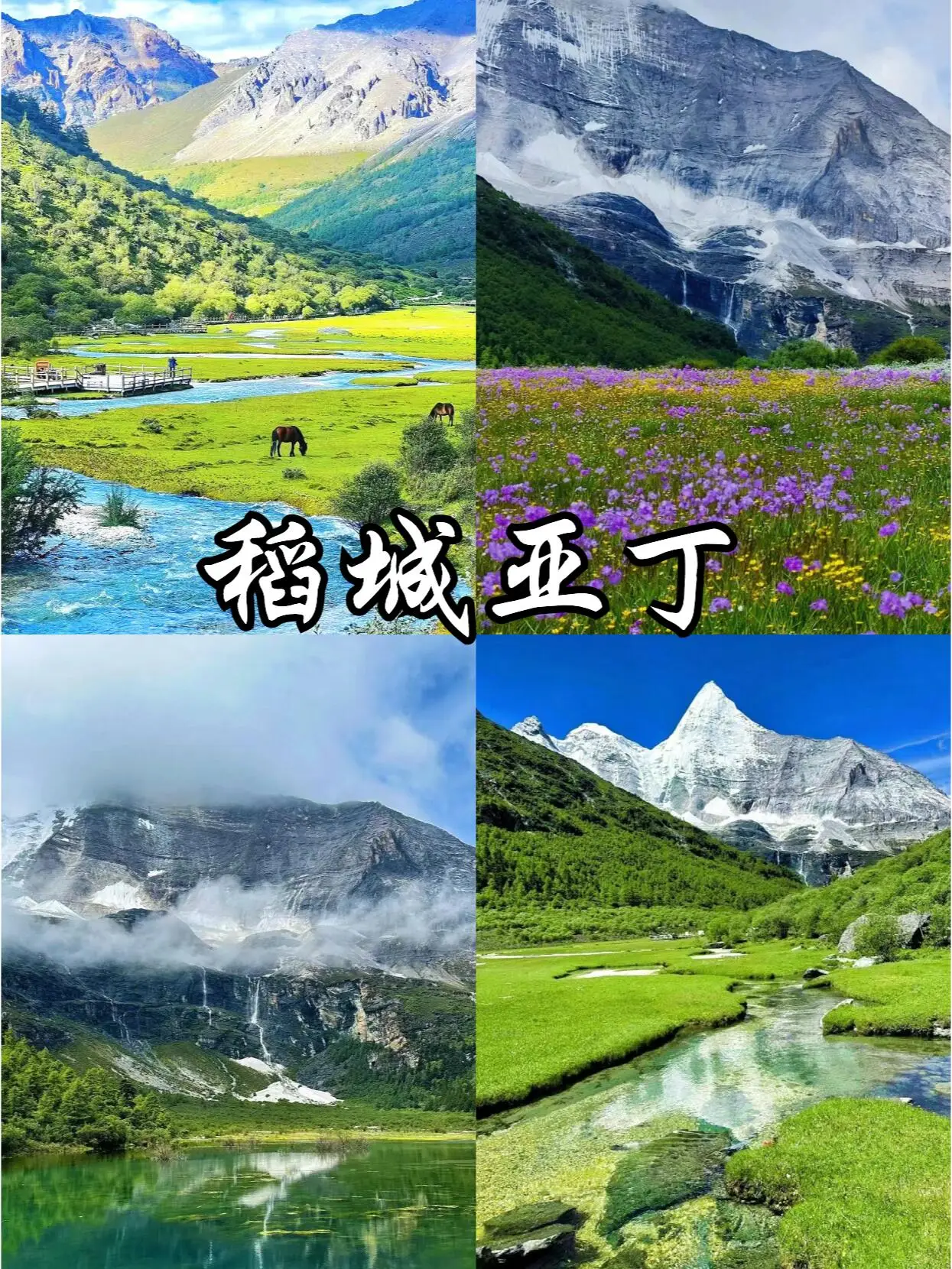 导游娜娜四川旅游_四川华山一日游攻略_华山一日游旅游攻略