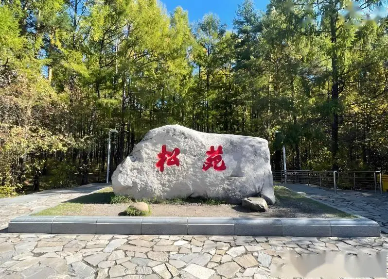 漠河五道地道美食推荐_漠河极光季十大必去景点_漠河自由行旅游攻略