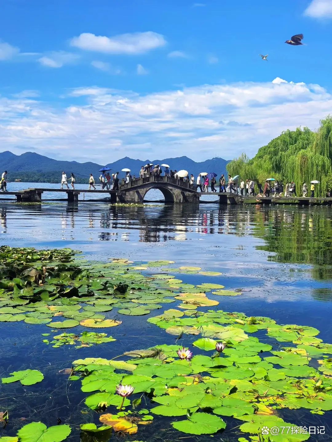 西湖最佳景点推荐_杭州西湖一日游攻略_西湖一日游旅游攻略