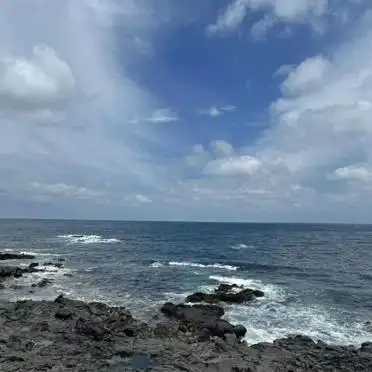 金山橘子海交通住宿攻略_金山橘子海周边游玩推荐_金山海滩旅游攻略
