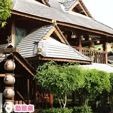 勐景来独树成林旅游_打洛旅游攻略_<strong>打洛镇一日游</strong>攻略