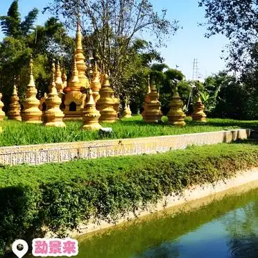 <strong>打洛镇一日游</strong>攻略_打洛旅游攻略_勐景来独树成林旅游