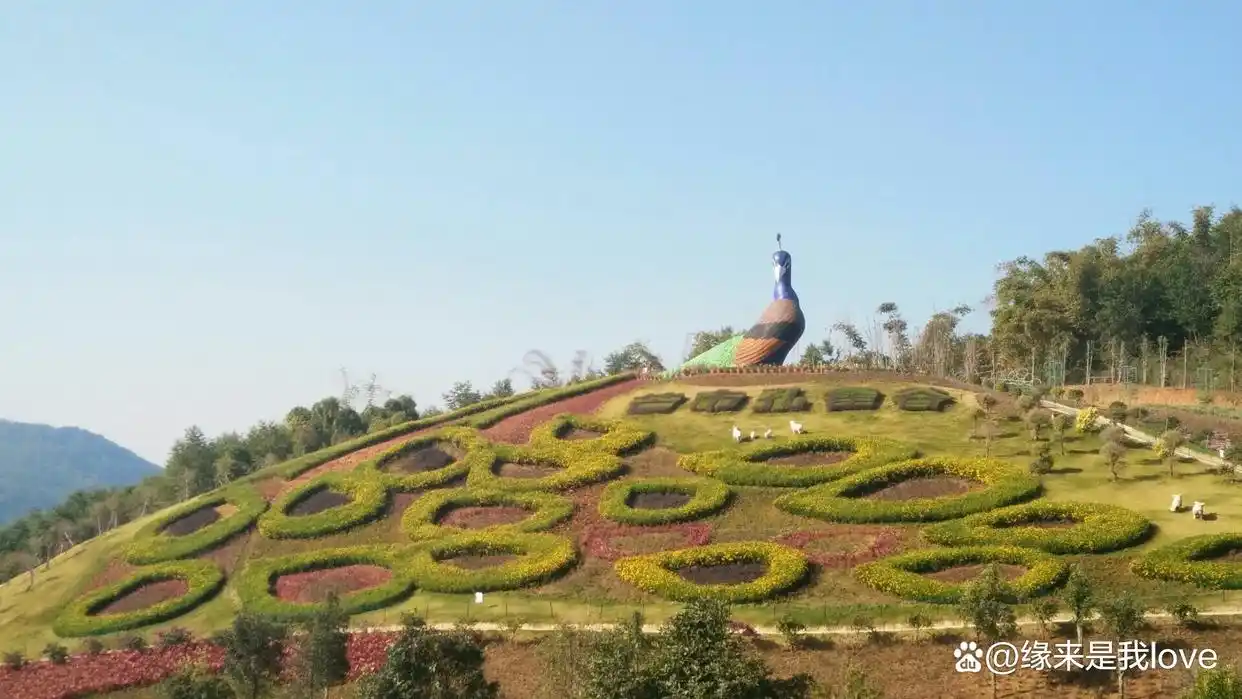云南芒市勐巴娜西珍奇园旅游攻略_云南芒市勐焕大金塔旅游攻略_芒市旅游攻略