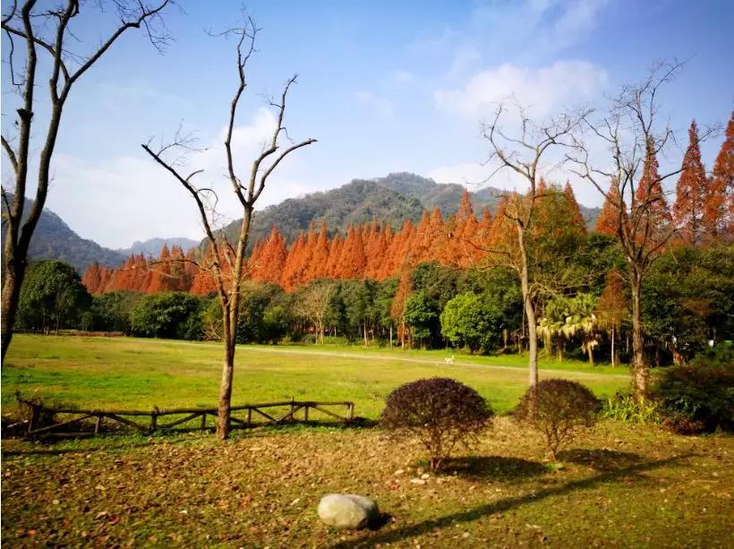 青城山旅游攻略_都江堰青城山旅游攻略_青城山免票预约攻略