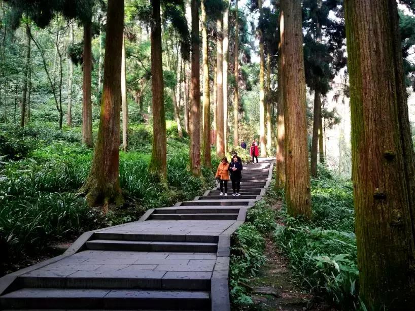 都江堰青城山旅游攻略_青城山旅游攻略_青城山免票预约攻略