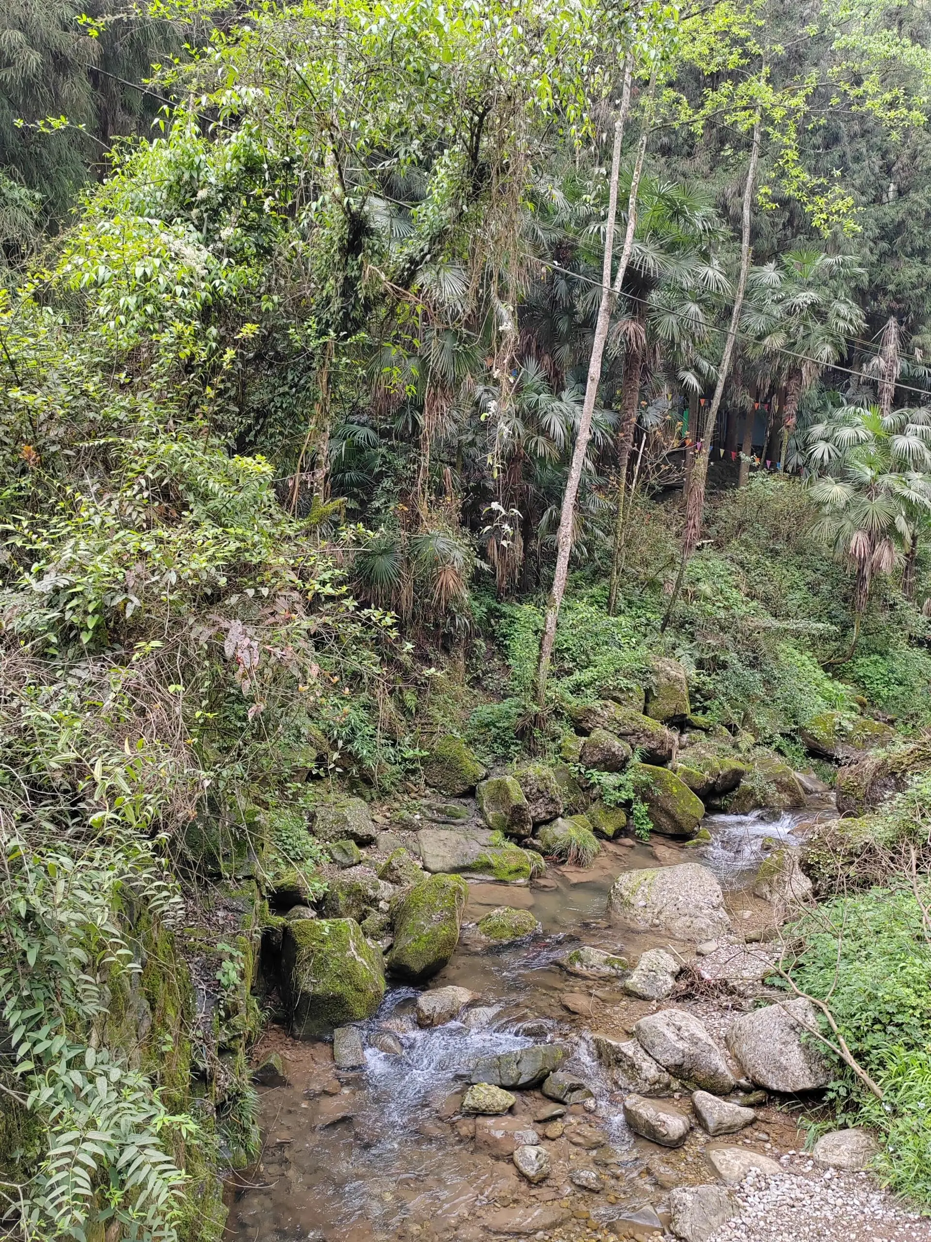 峨眉山性价比旅游_四川峨眉山旅游攻略_峨眉山旅游攻略