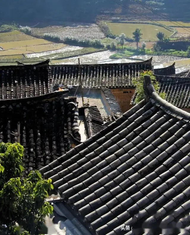 云南双子之城旅游攻略_墨江双胞胎节攻略_墨江旅游攻略