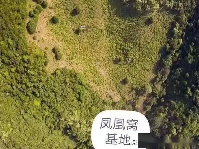 墨江双胞胎节攻略_云南双子之城旅游攻略_墨江旅游攻略