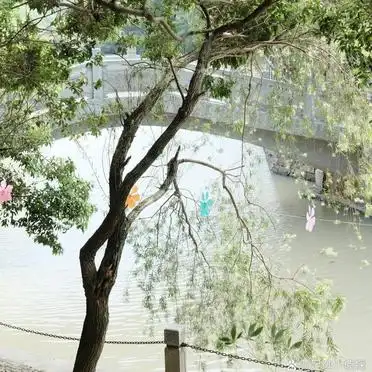 最佳到达时间九鲤湖_九鲤湖一日游攻略_九鲤湖的旅游攻略