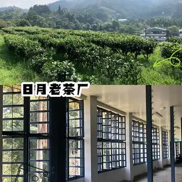 南投旅游必去景点攻略_台湾南投县景点推荐_南投旅游攻略