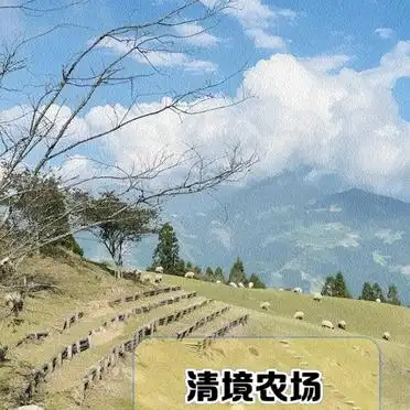 南投三日游攻略_清境农场行程安排_南投旅游攻略