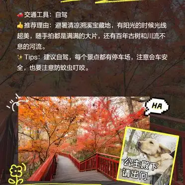 从化自驾游景点推荐_罗洞工匠小镇稻香天堂自驾游攻略_从化旅游攻略免费