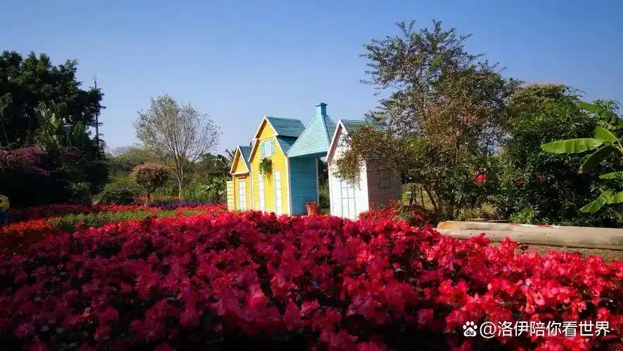 从化旅游攻略免费_广州从化旅游景点_从化自然风光旅游