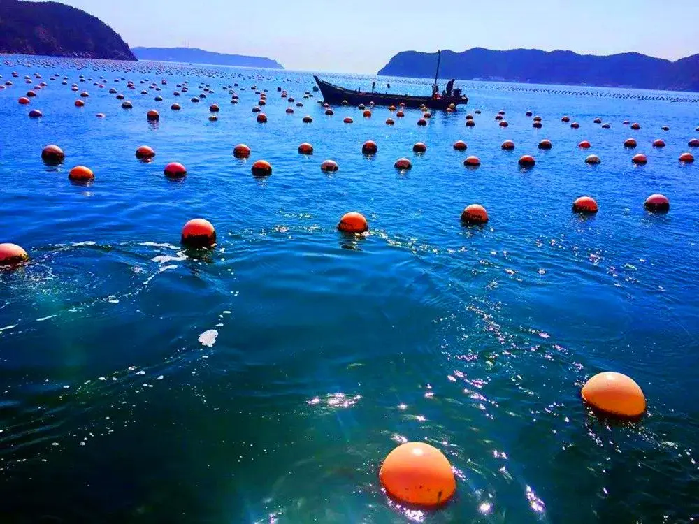 大连海岛旅游攻略_海洋岛旅游攻略_大连哪个海岛好玩