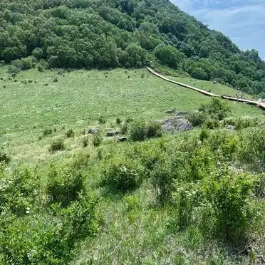 房山百花山主峰入口介绍_北京百花山高山草甸入口攻略_房山百花山旅游攻略