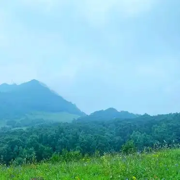 房山百花山旅游攻略_北京百花山高山草甸入口攻略_房山百花山主峰入口介绍
