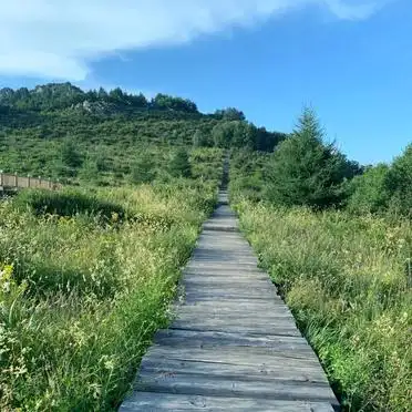 房山百花山主峰入口介绍_北京百花山高山草甸入口攻略_房山百花山旅游攻略