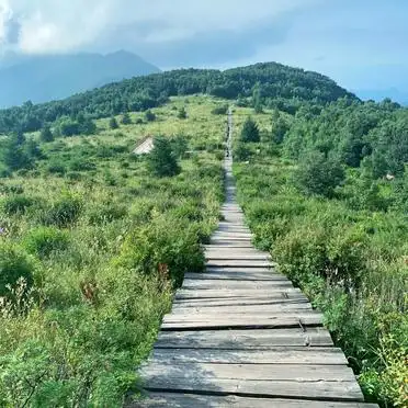 北京百花山高山草甸入口攻略_房山百花山旅游攻略_房山百花山主峰入口介绍