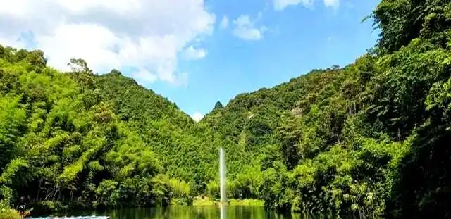 从化旅游攻略免费_从化国家森林公园攻略_从化秘境旅游