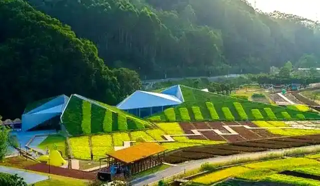 从化旅游攻略免费_从化秘境旅游_从化国家森林公园攻略