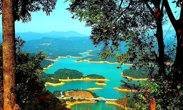 从化国家森林公园攻略_从化秘境旅游_从化旅游攻略免费