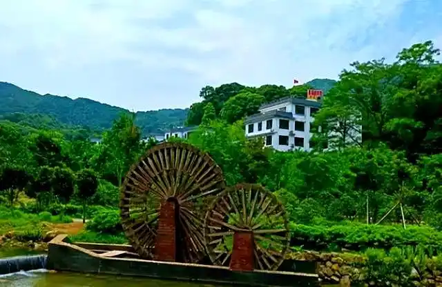 从化国家森林公园攻略_从化秘境旅游_从化旅游攻略免费