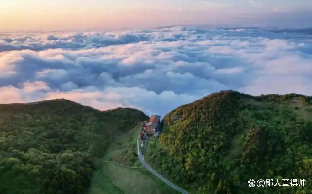 重庆到金佛山旅游攻略_重庆周边小众景点_金佛山旅游攻略