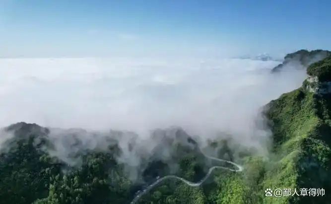 金佛山旅游攻略_重庆周边小众景点_重庆到金佛山旅游攻略