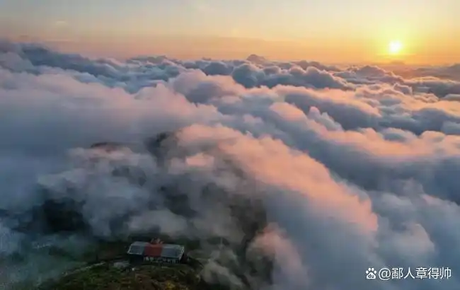 重庆到金佛山旅游攻略_重庆周边小众景点_金佛山旅游攻略