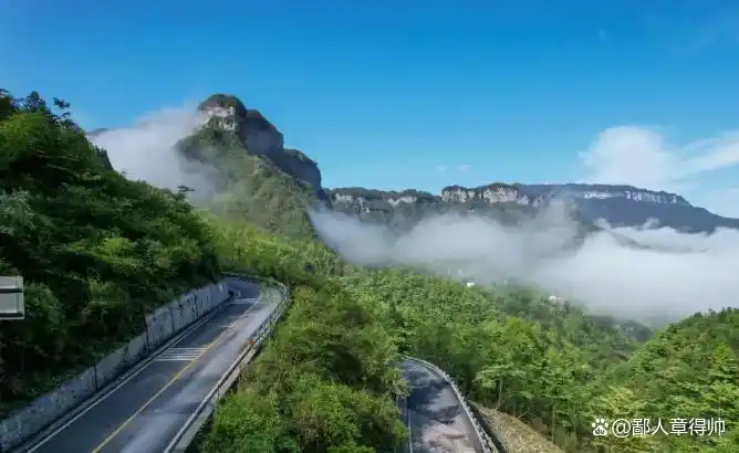 金佛山旅游攻略_重庆到金佛山旅游攻略_重庆周边小众景点