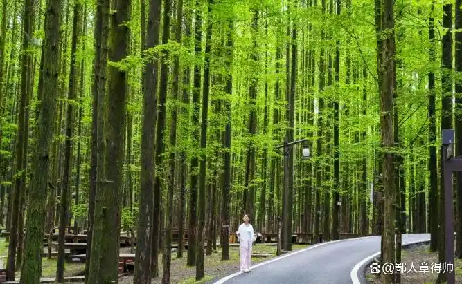 重庆周边小众景点_重庆到金佛山旅游攻略_金佛山旅游攻略