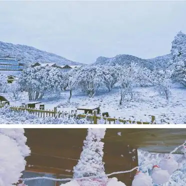 重庆到金佛山旅游攻略_金佛山滑雪攻略_重庆金佛山冬日雪景