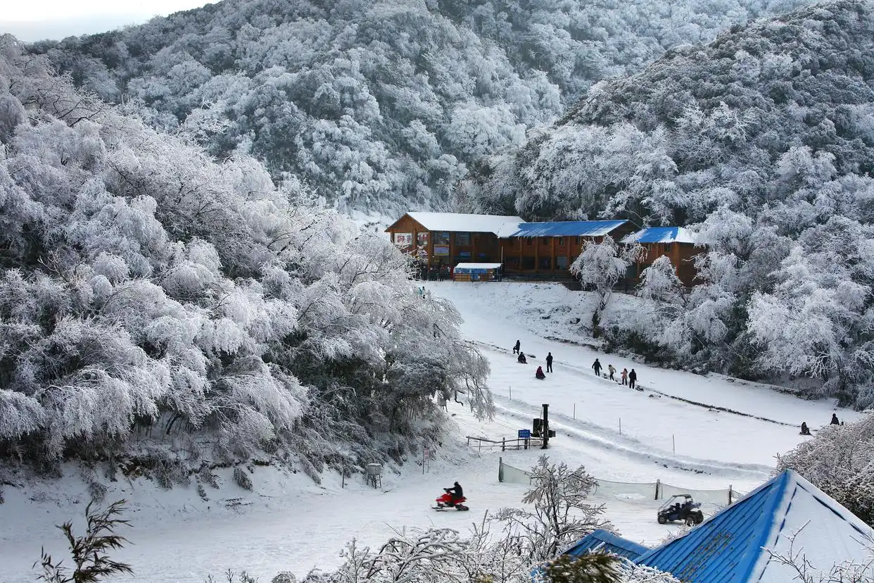 重庆到金佛山旅游攻略_重庆金佛山冬季旅游_金佛山雪景杜鹃花海